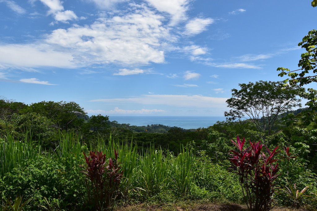 2 bed Single Family Homes For Sale in Dominical, Puntarenas - thumb 13