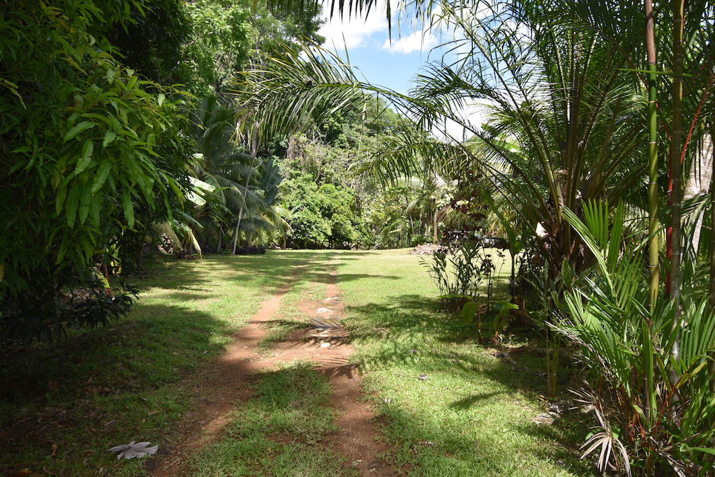 2 bed Single Family Homes For Sale in Dominical, Puntarenas - thumb 11