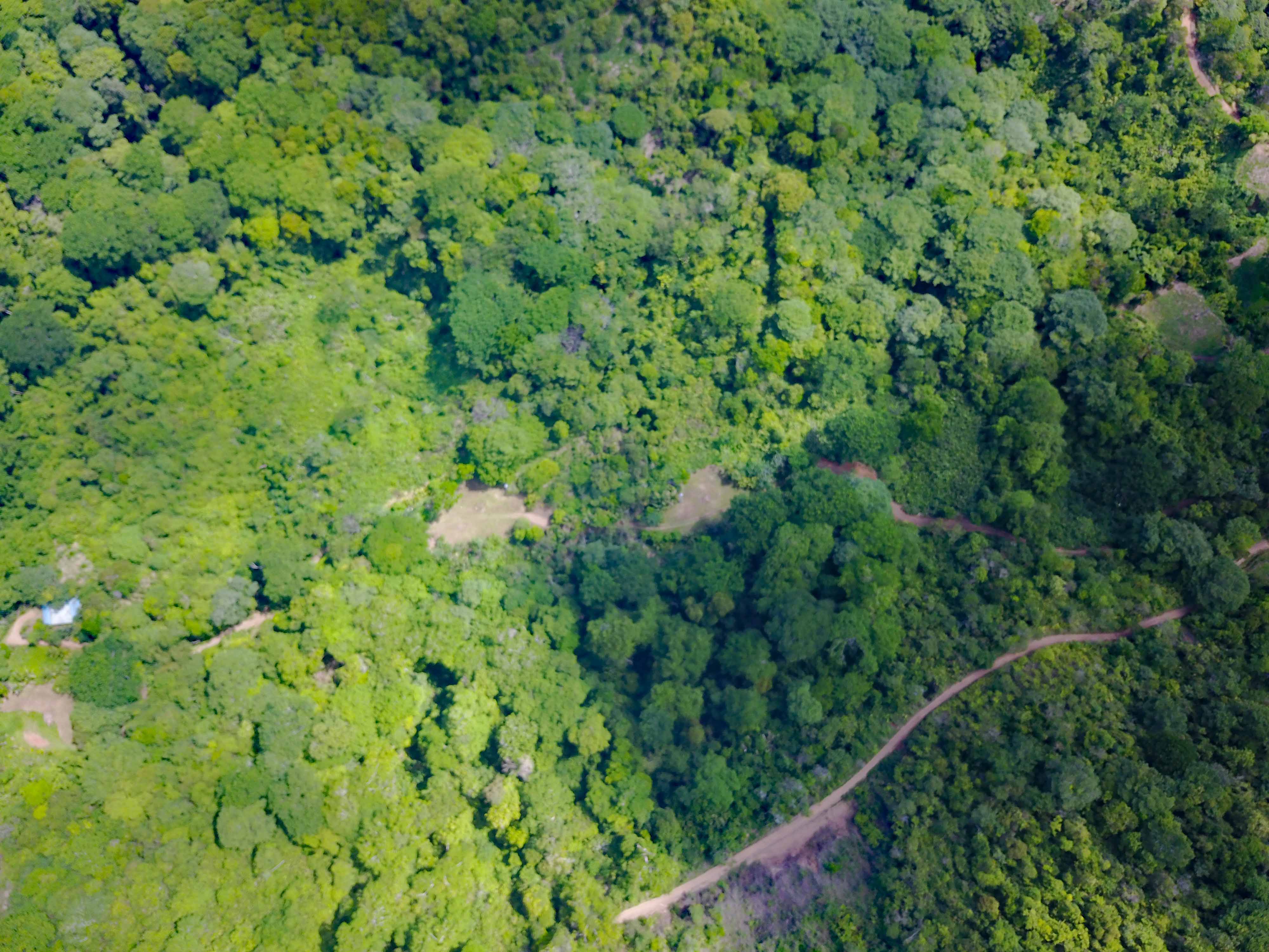 2 bed Single Family Homes For Sale in Dominical, Puntarenas - thumb 10