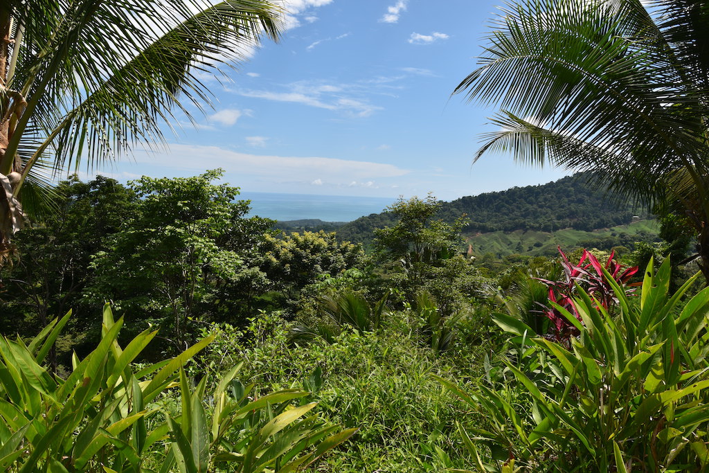 2 bed Single Family Homes For Sale in Dominical, Puntarenas - thumb 7