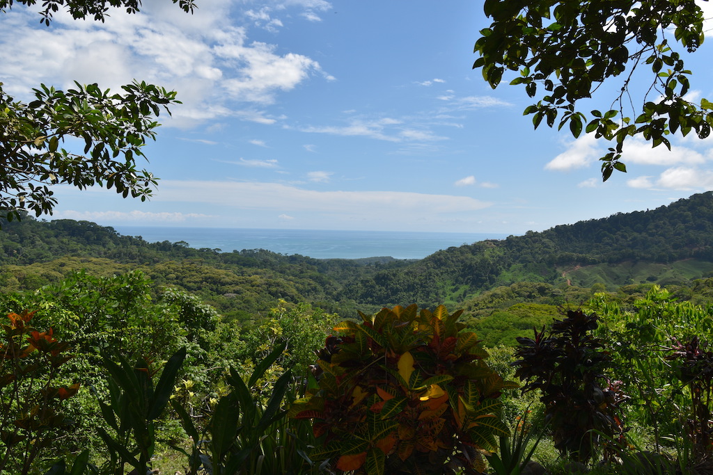 2 bed Single Family Homes For Sale in Dominical, Puntarenas - thumb 1