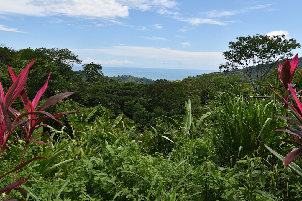 2 bed Single Family Homes For Sale in Dominical, Puntarenas - thumb 15