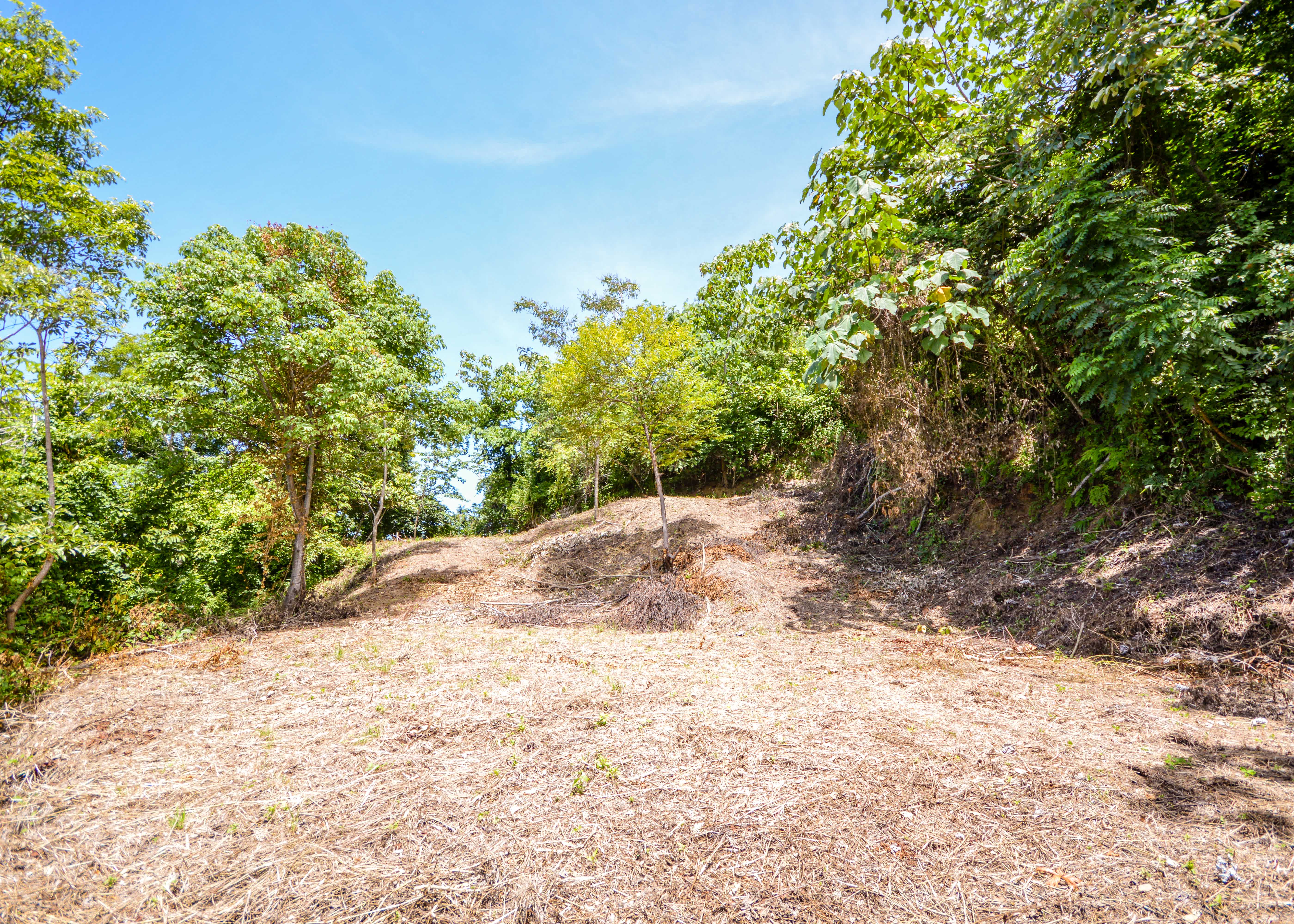 0 bed Land For Sale in Playa Carrillo, Guanacaste - thumb 11
