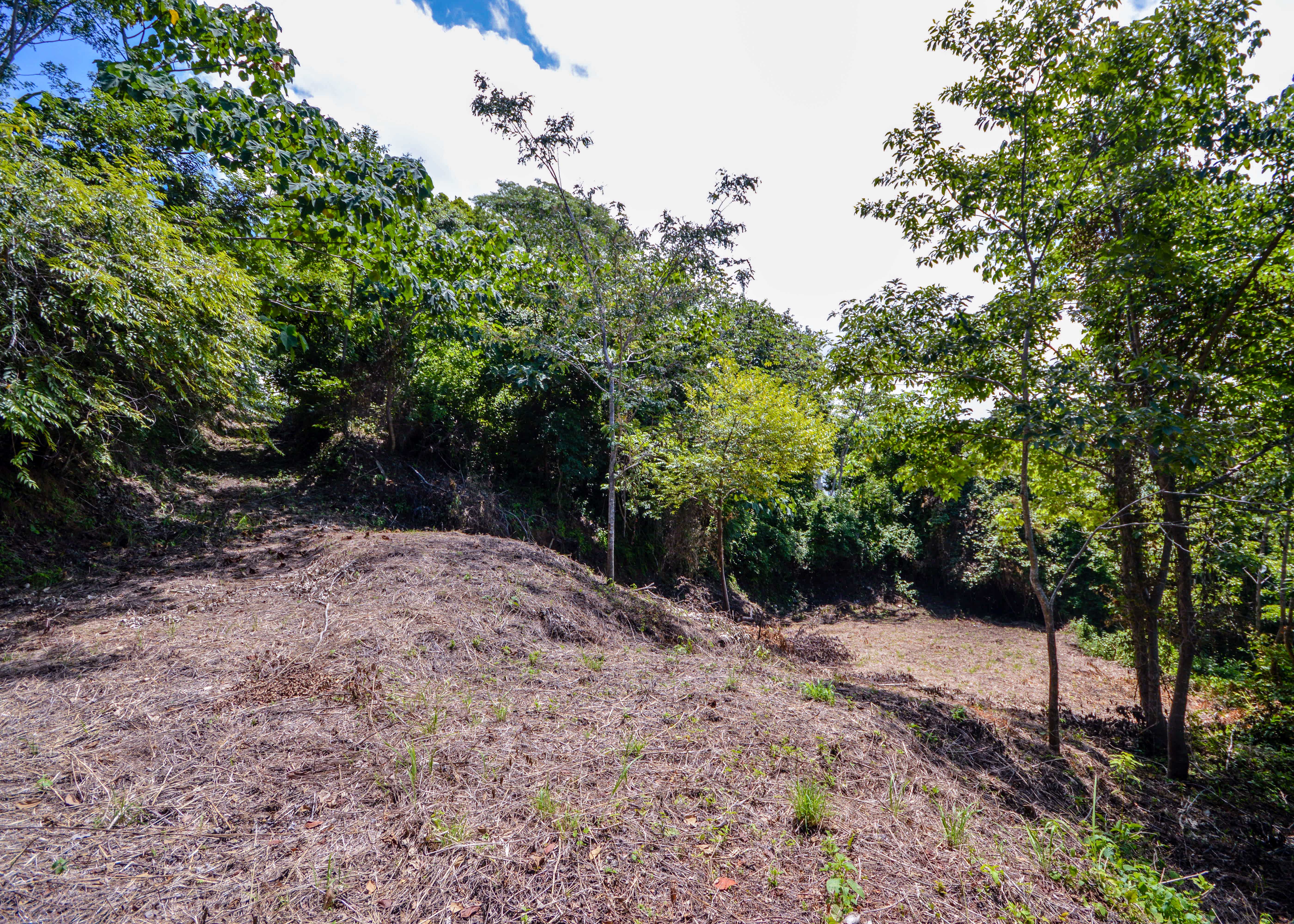 0 bed Land For Sale in Playa Carrillo, Guanacaste - thumb 9