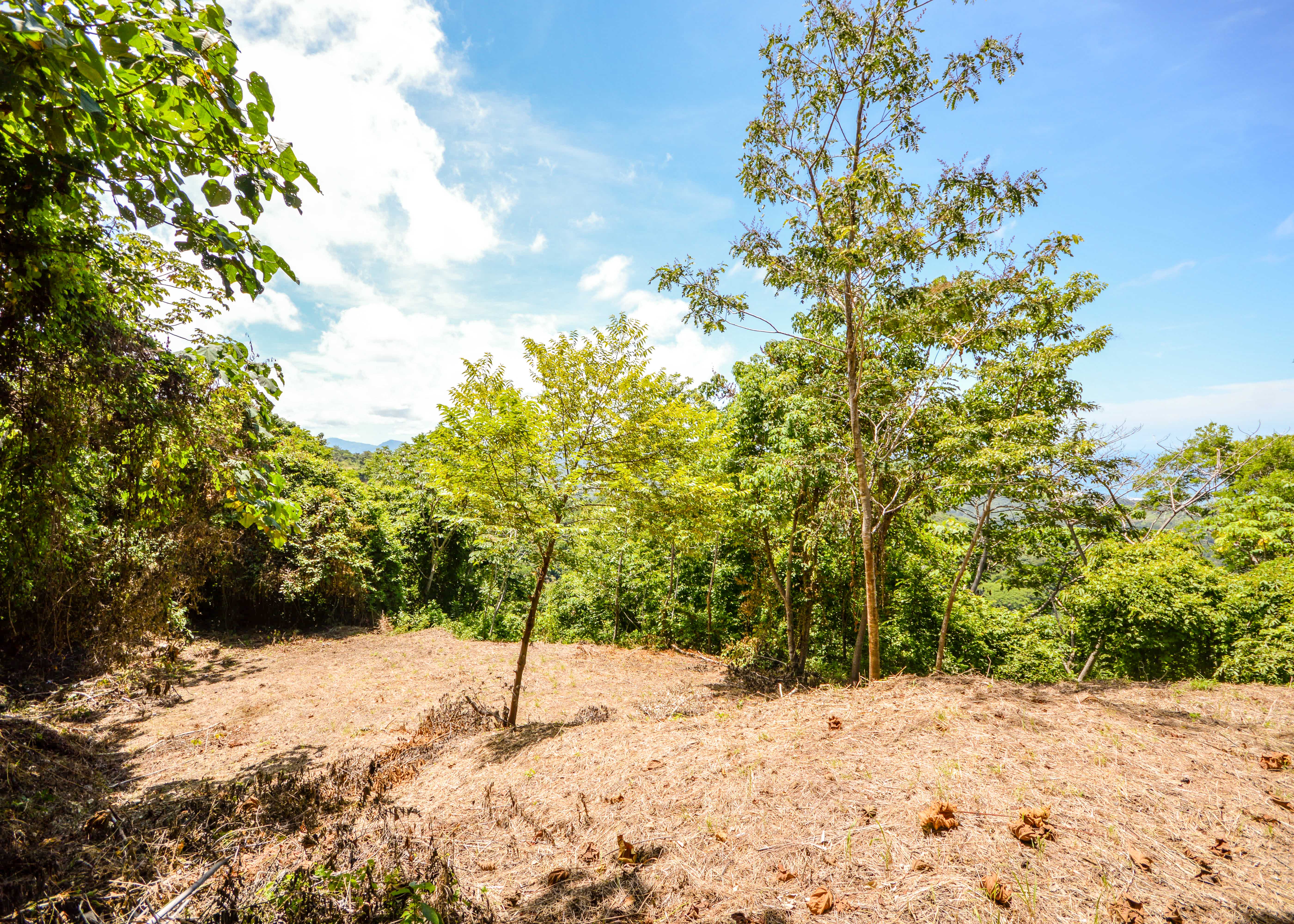 0 bed Land For Sale in Playa Carrillo, Guanacaste - thumb 8