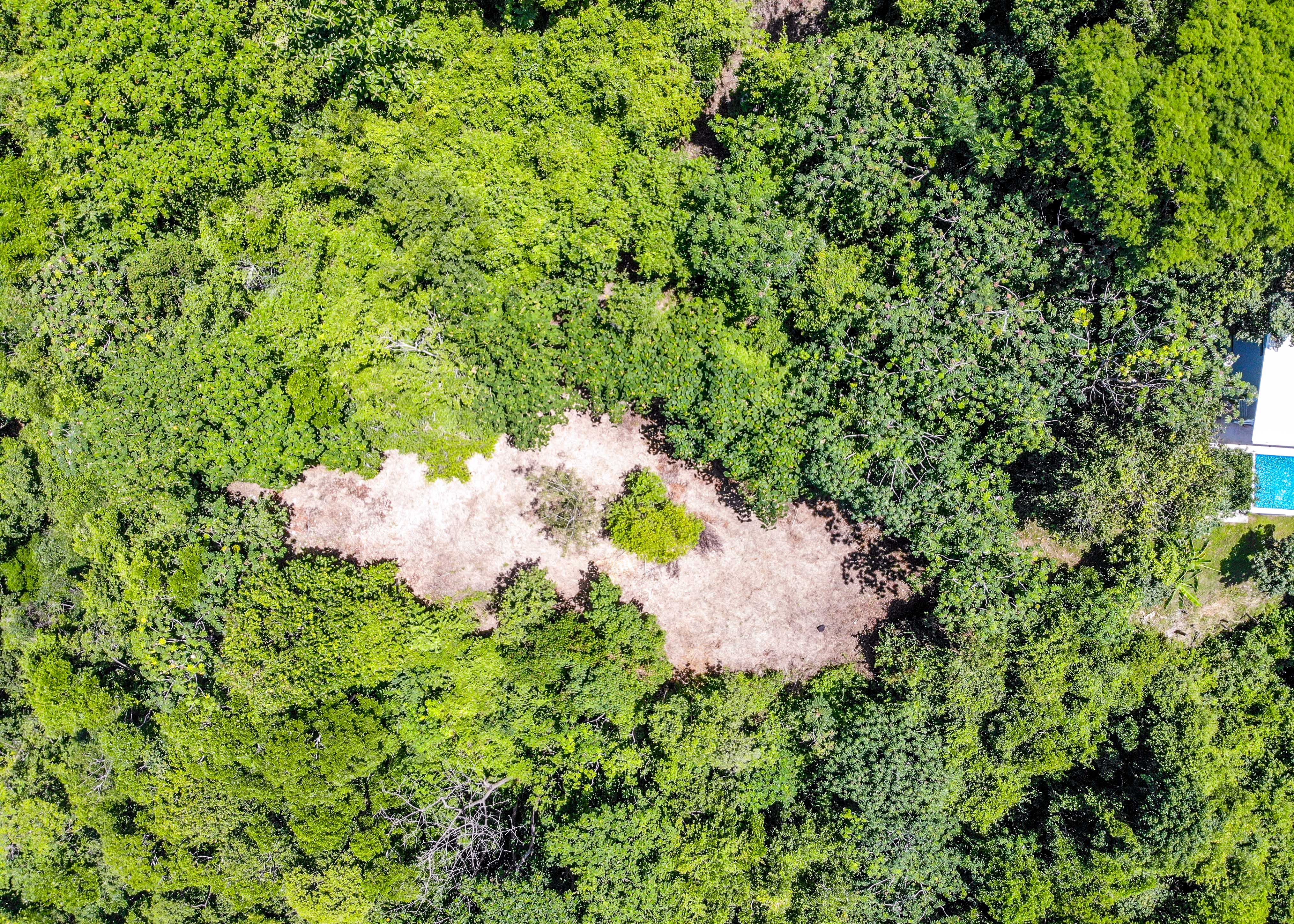 0 bed Land For Sale in Playa Carrillo, Guanacaste - thumb 3