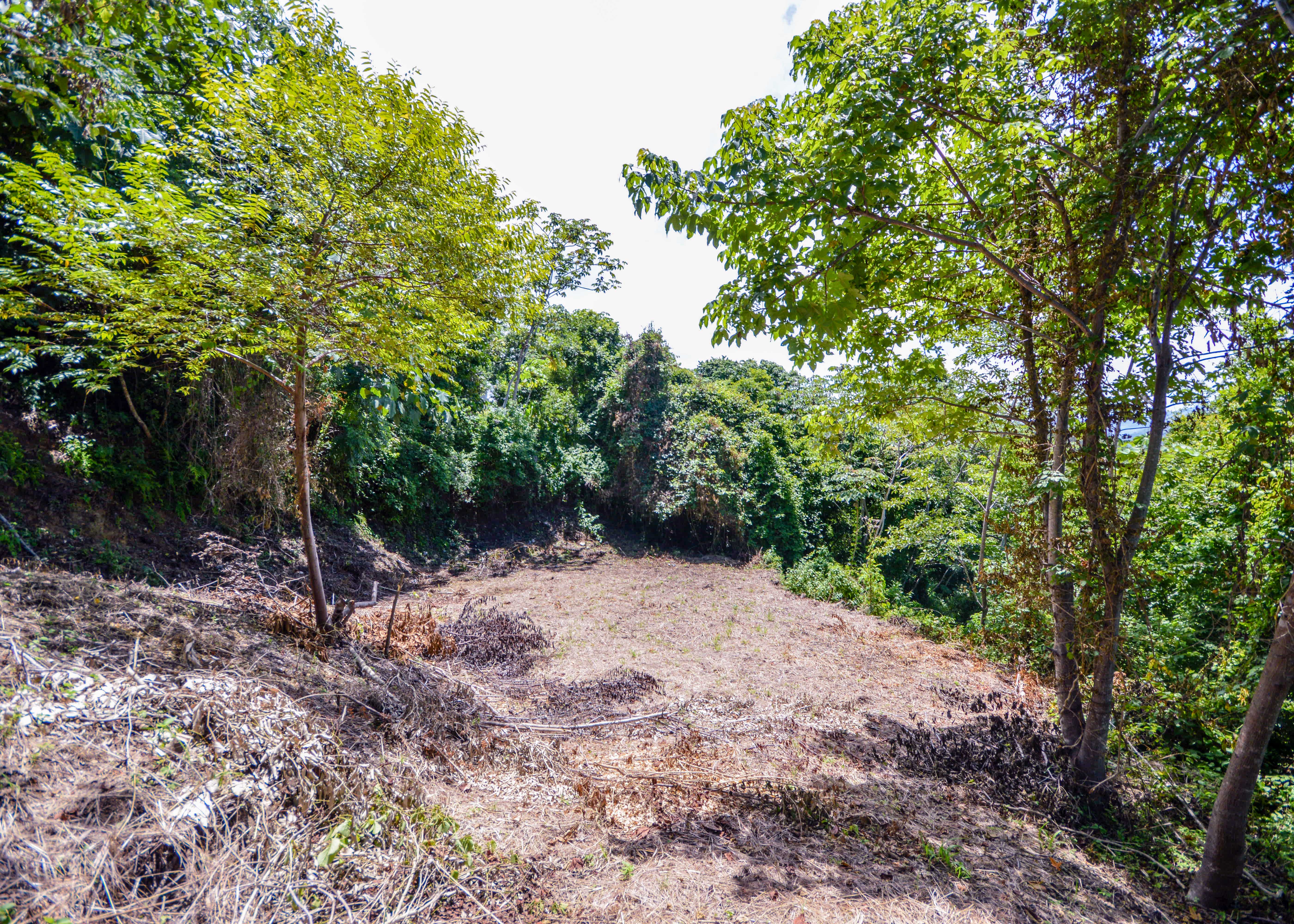 0 bed Land For Sale in Playa Carrillo, Guanacaste - thumb 10