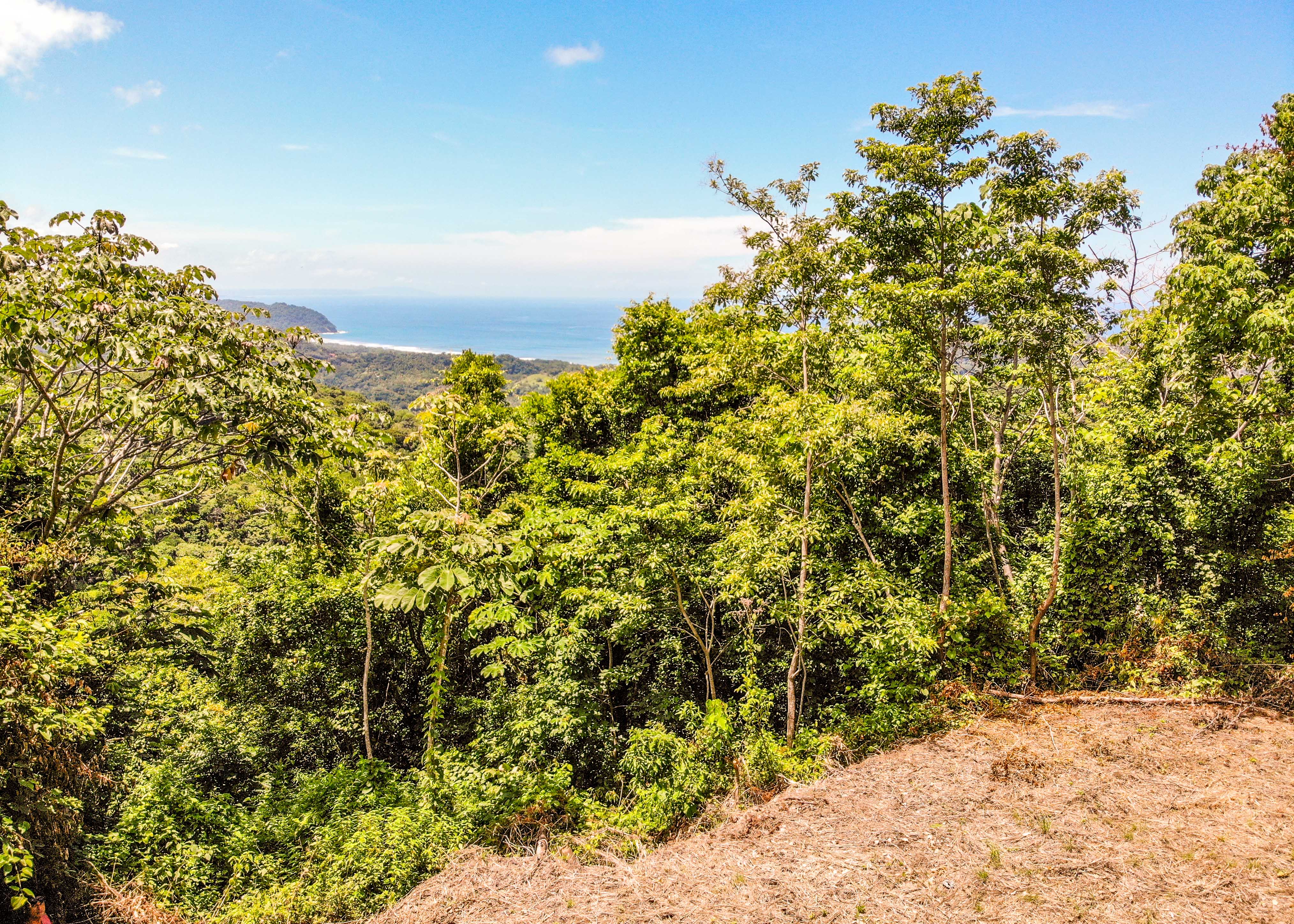 0 bed Land For Sale in Playa Carrillo, Guanacaste - thumb 1