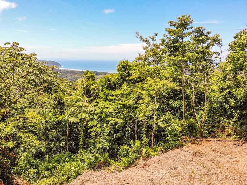 0 bed Land For Sale in Playa Carrillo, Guanacaste - 1