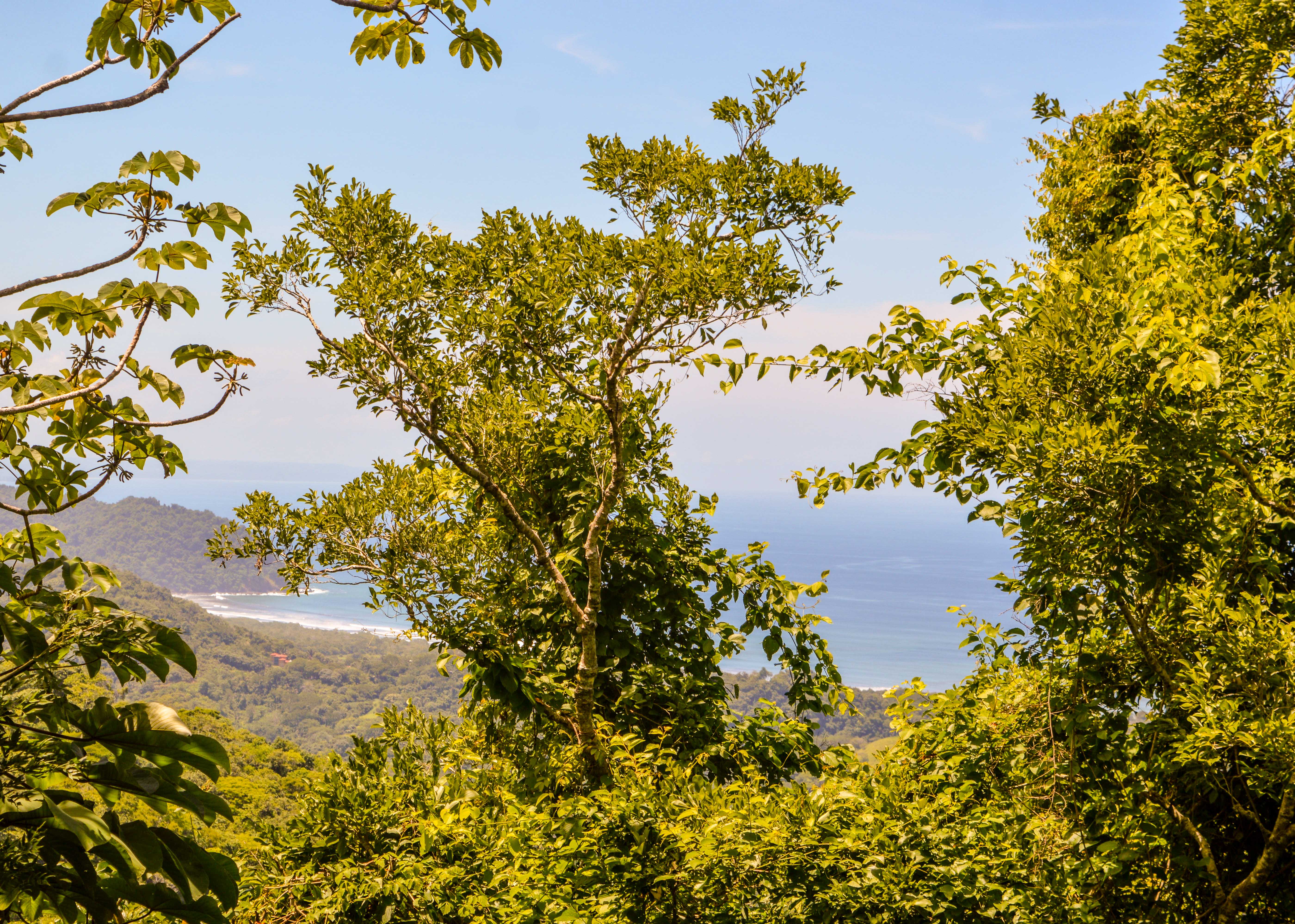 0 bed Land For Sale in Playa Carrillo, Guanacaste - thumb 12