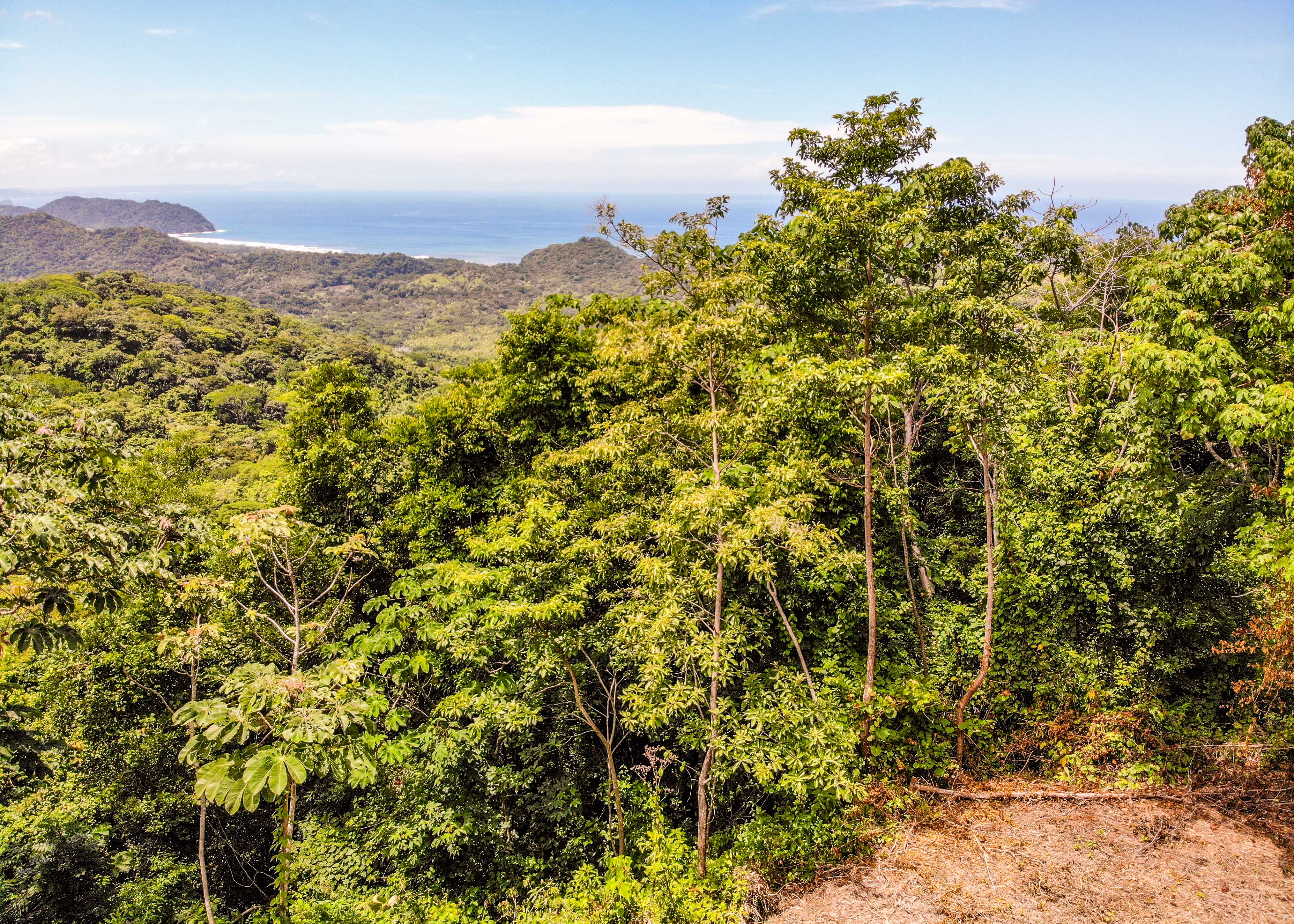 0 bed Land For Sale in Playa Carrillo, Guanacaste - thumb 7