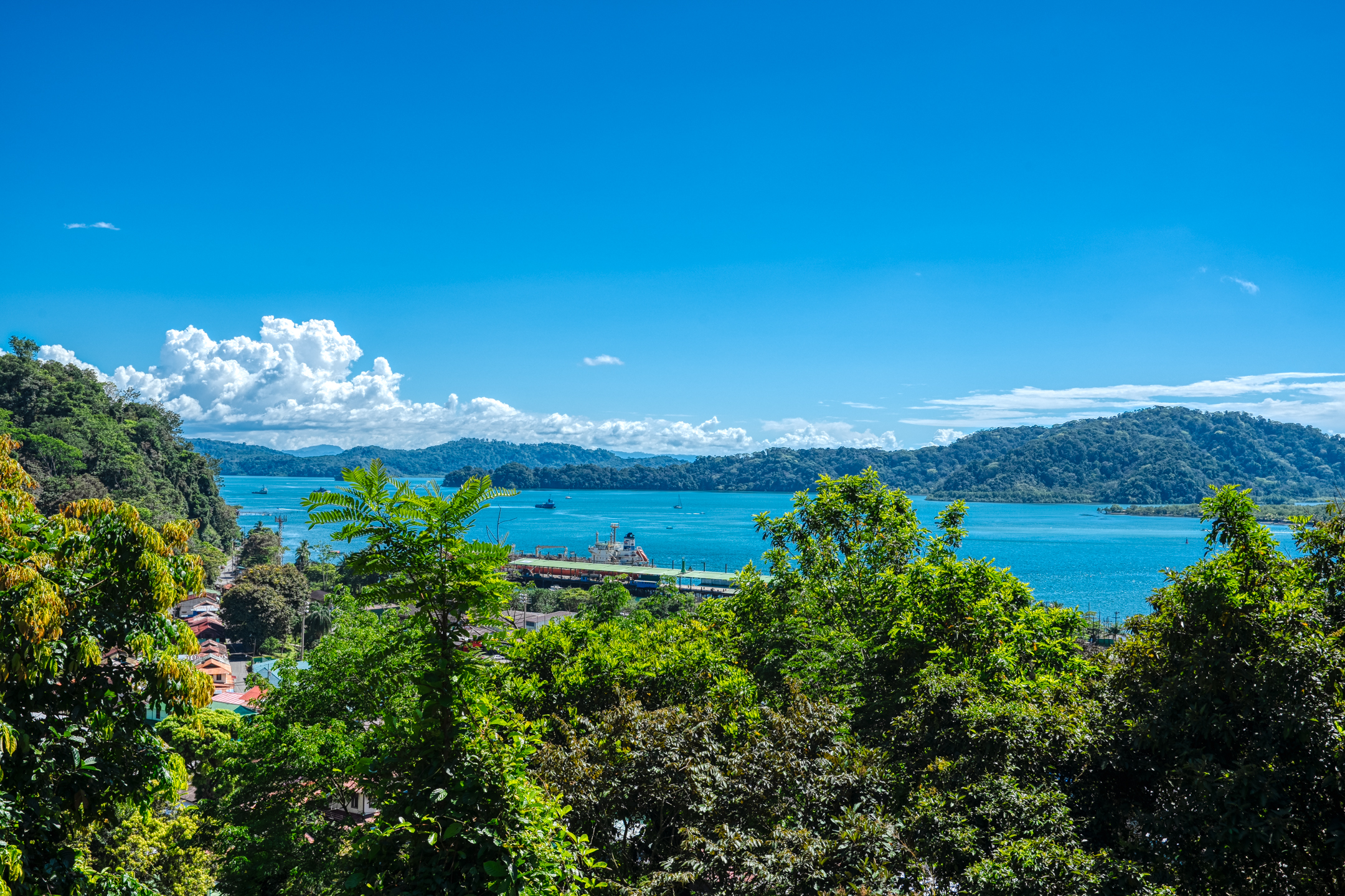 0 bed Land For Sale in Golfito, Puntarenas - thumb 15