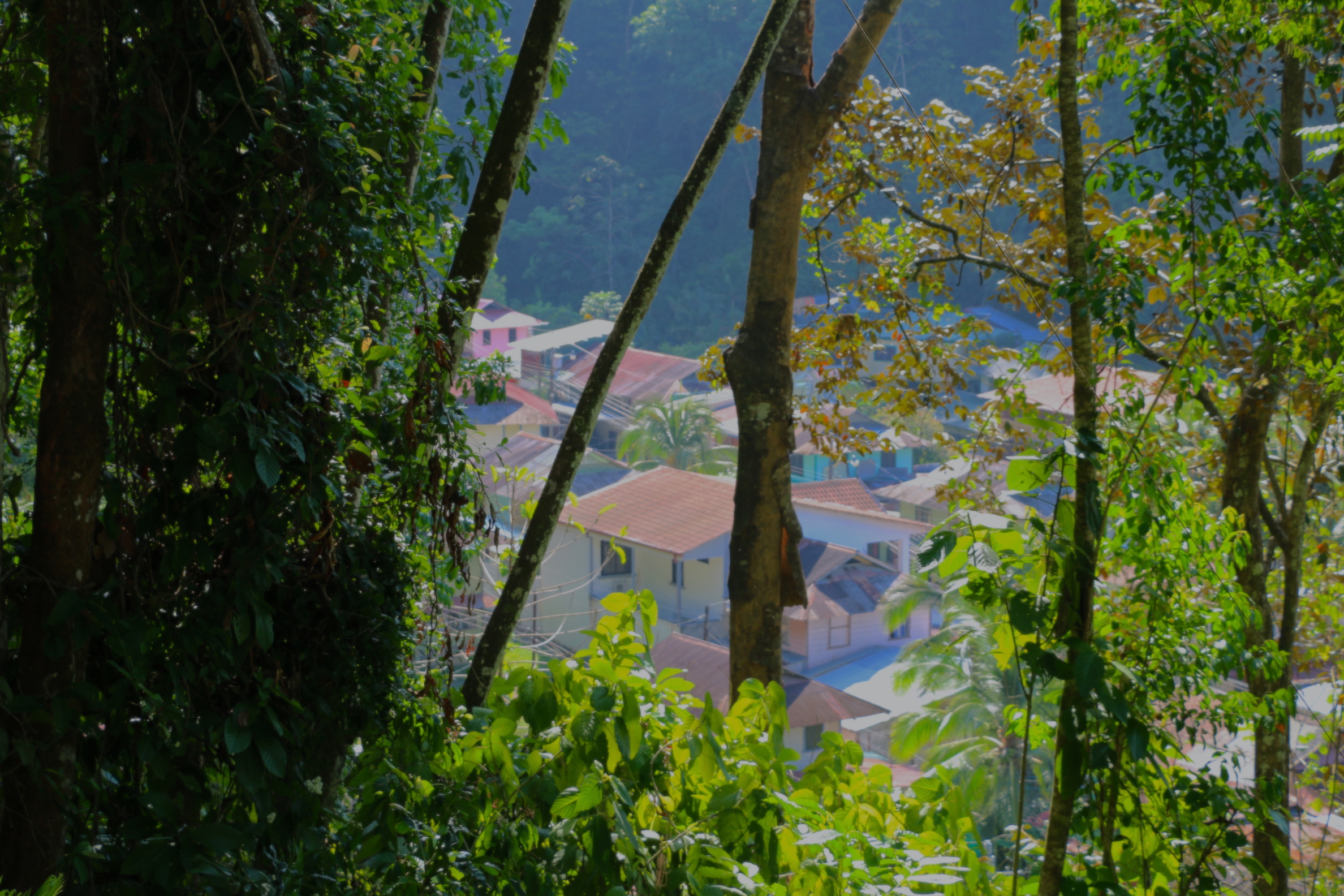 0 bed Land For Sale in Golfito, Puntarenas - thumb 11