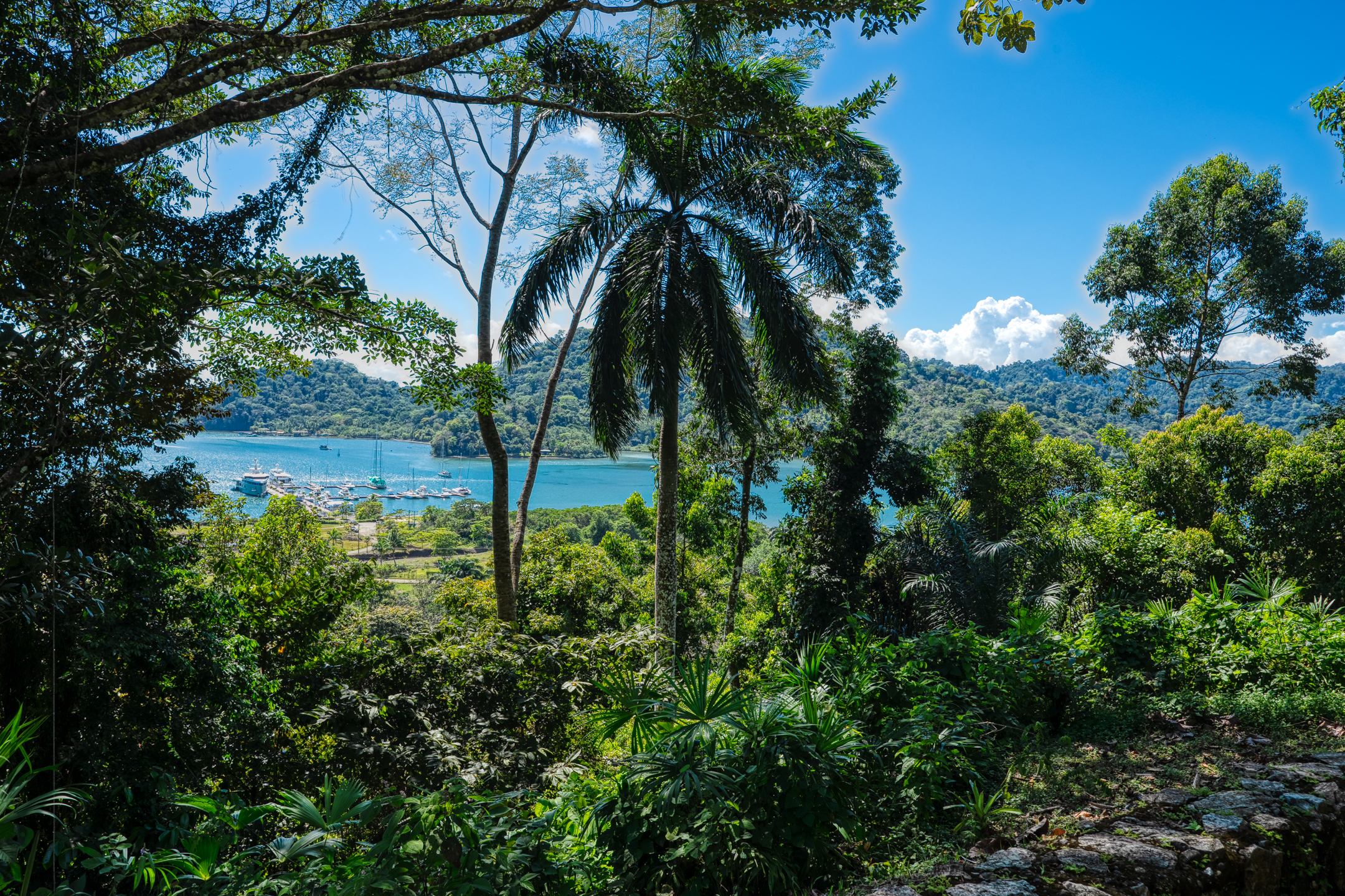 0 bed Land For Sale in Golfito, Puntarenas - thumb 3