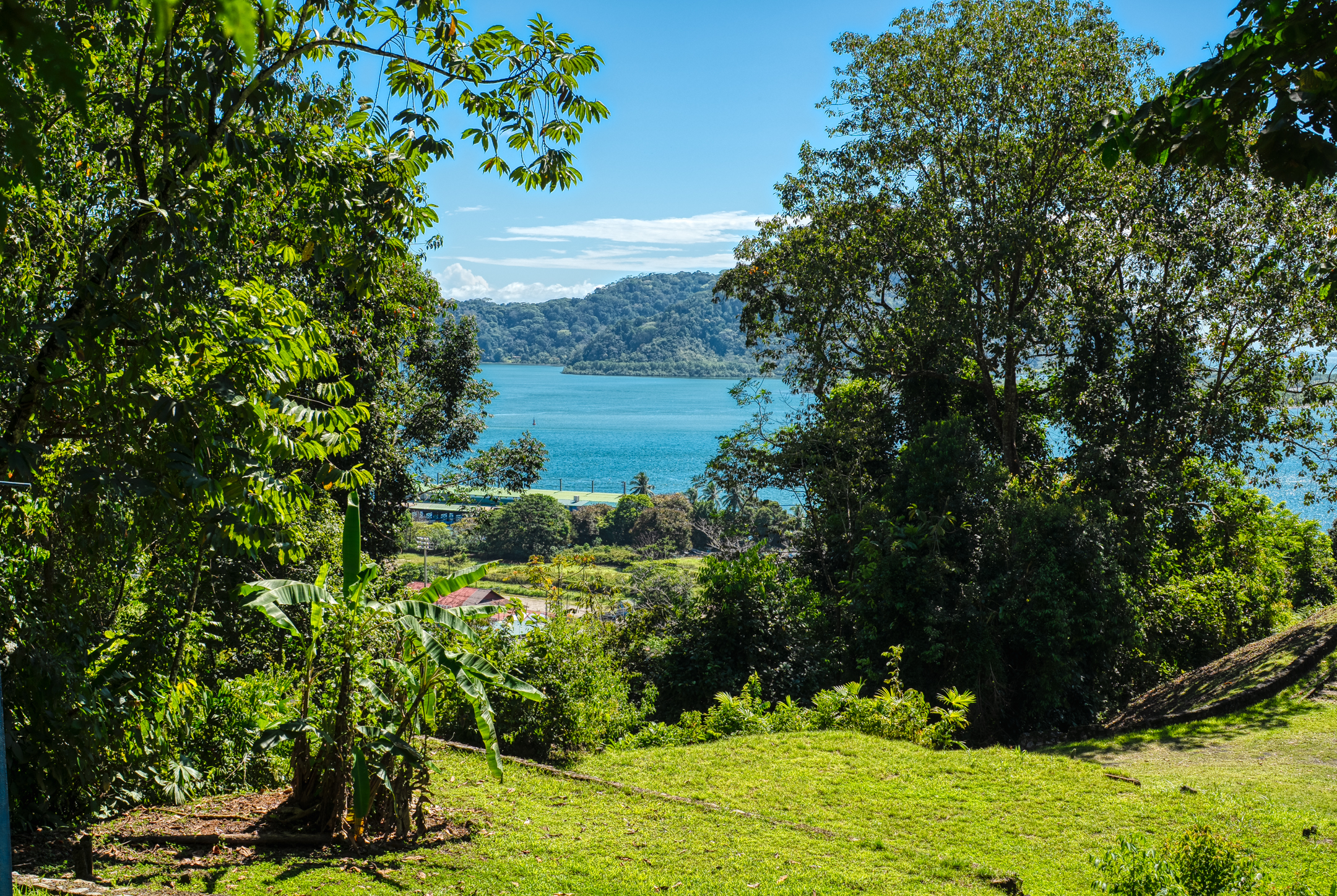 0 bed Land For Sale in Golfito, Puntarenas - thumb 17