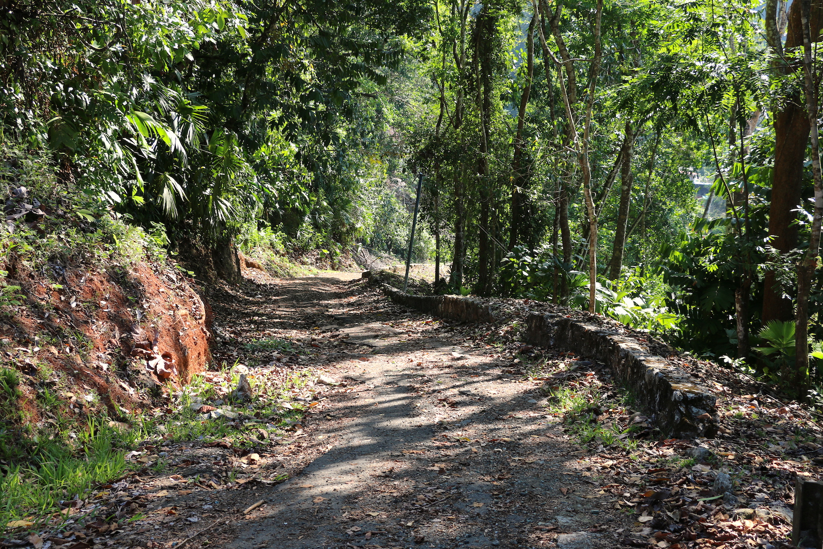 0 bed Land For Sale in Golfito, Puntarenas - thumb 7