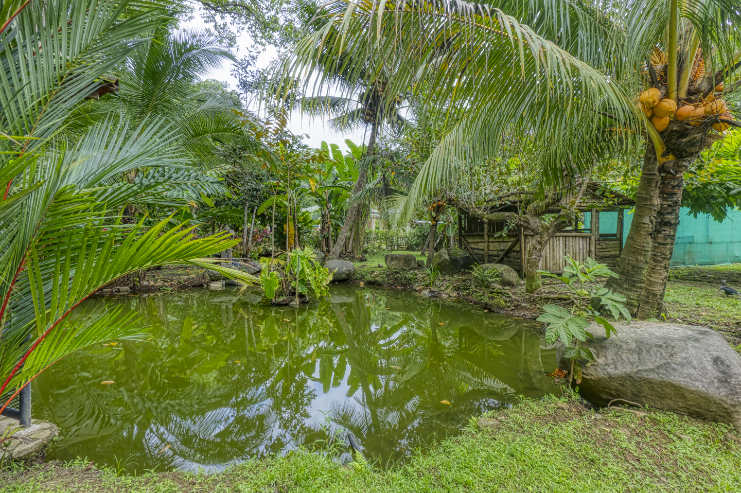 3 bed Single Family Homes For Sale in Ojochal, Puntarenas - thumb 9