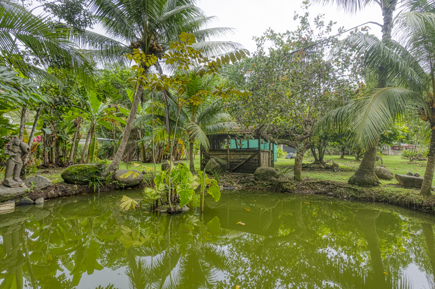 3 bed Single Family Homes For Sale in Ojochal, Puntarenas - thumb 7