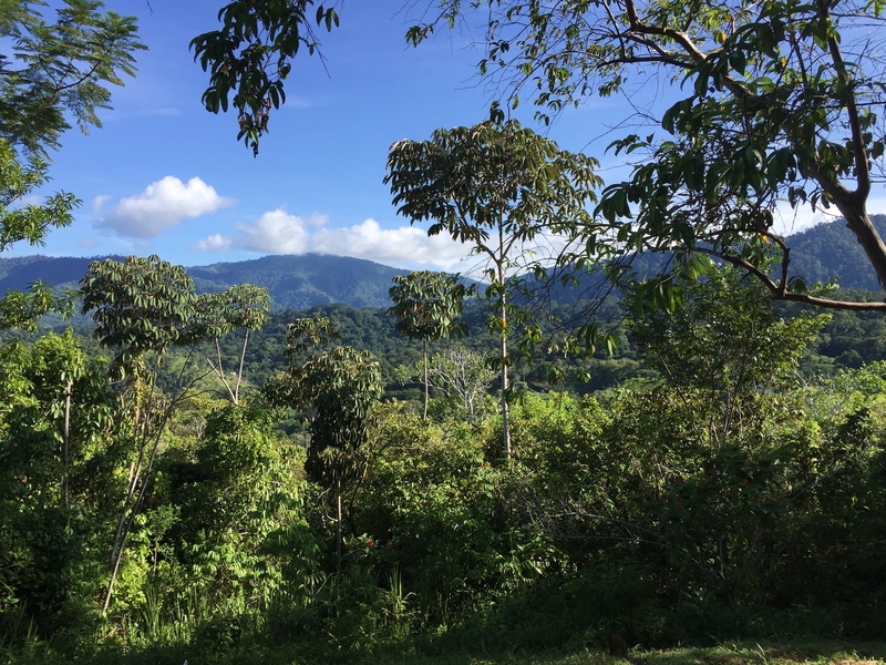 0 bed Communities For Sale in Uvita, Puntarenas - thumb 17