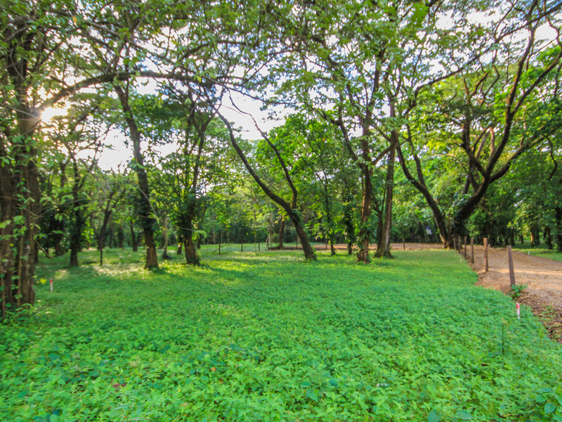 0 bed Land For Sale in Playa Pelada, Guanacaste - 1