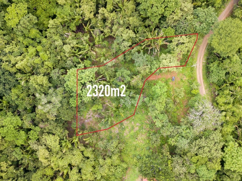 0 bed Land For Sale in Nosara, Guanacaste - 1