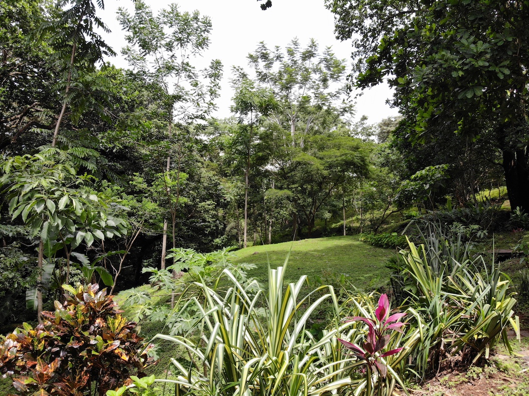 4 bed Single Family Homes For Sale in Turrubares, San Jose - thumb 16