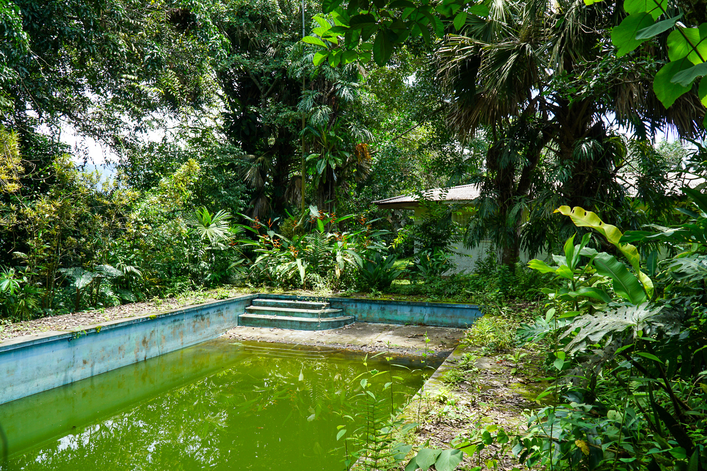 0 bed Land For Sale in Perez Zeledon, San Jose - thumb 24