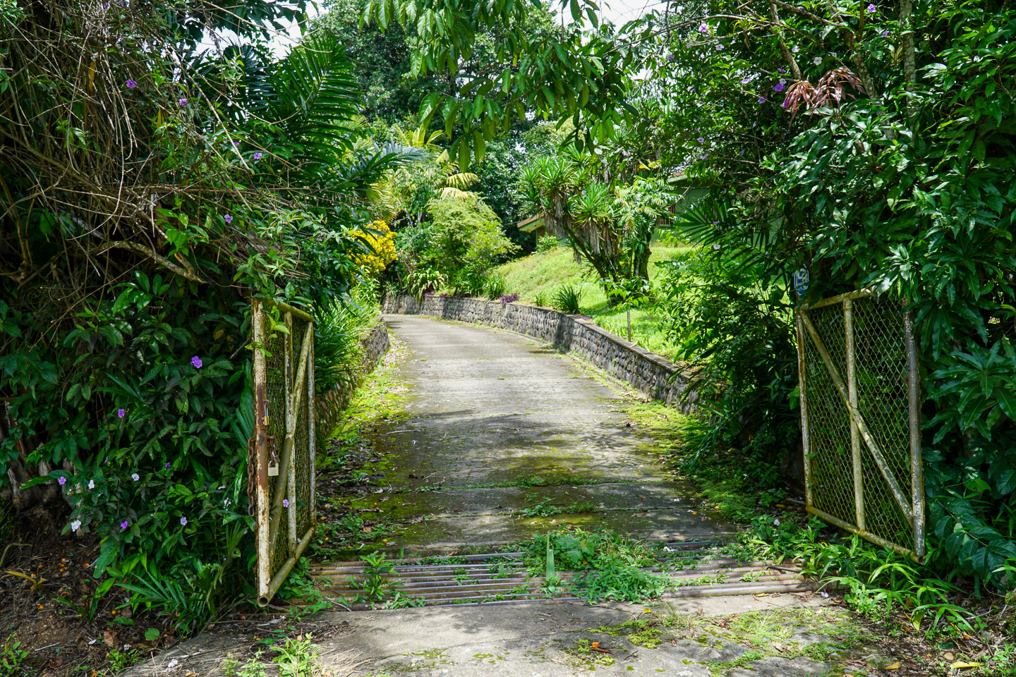 0 bed Land For Sale in Perez Zeledon, San Jose - thumb 27