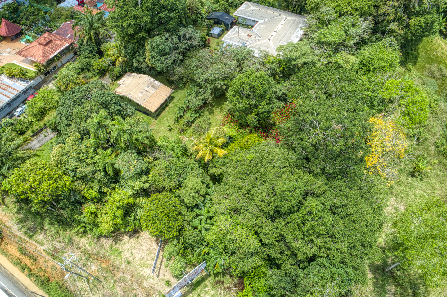 0 bed Land For Sale in Perez Zeledon, San Jose - thumb 30