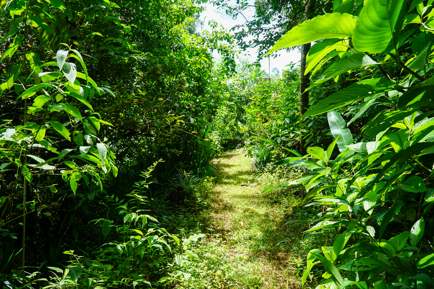 0 bed Land For Sale in Perez Zeledon, San Jose - thumb 18