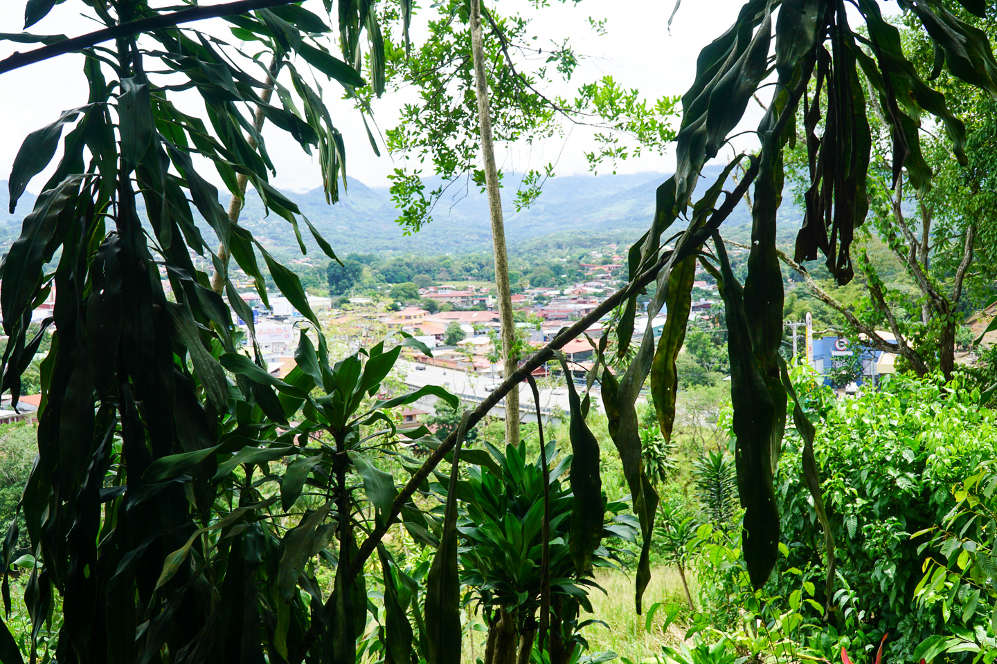 0 bed Land For Sale in Perez Zeledon, San Jose - thumb 26