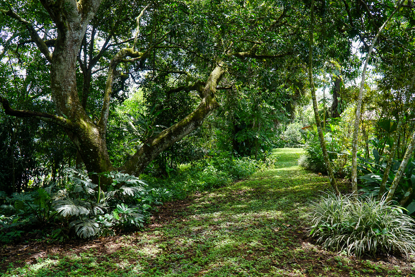 0 bed Land For Sale in Perez Zeledon, San Jose - thumb 21