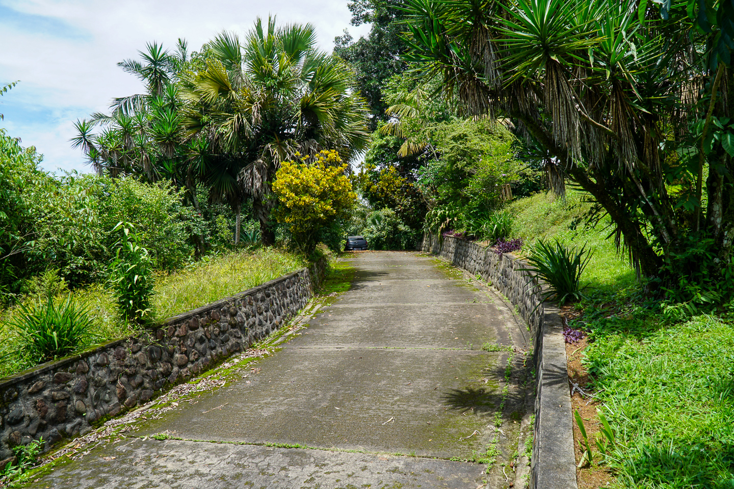 0 bed Land For Sale in Perez Zeledon, San Jose - thumb 11