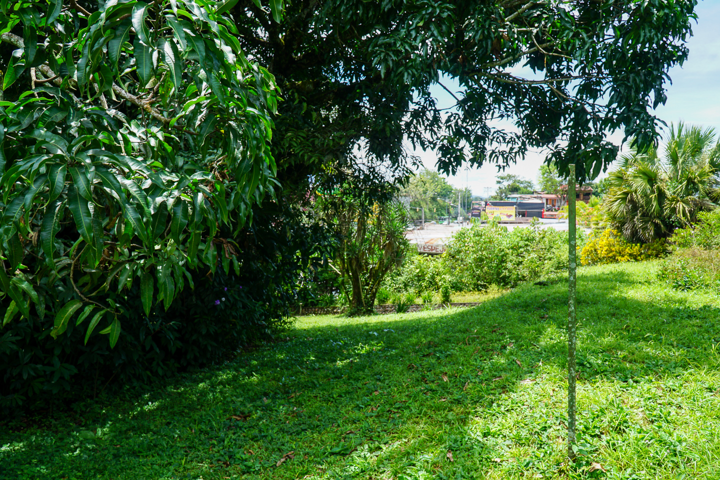 0 bed Land For Sale in Perez Zeledon, San Jose - thumb 12