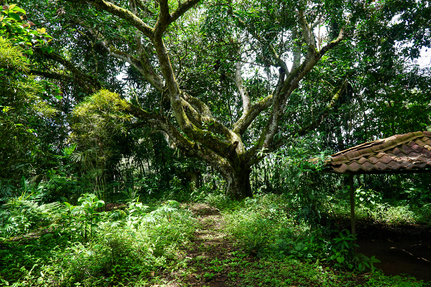 0 bed Land For Sale in Perez Zeledon, San Jose - thumb 22