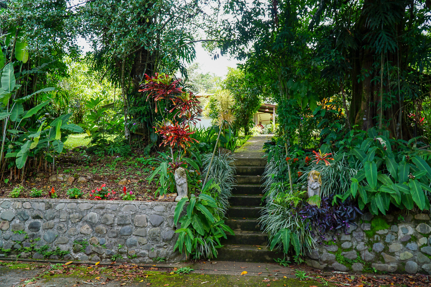 0 bed Land For Sale in Perez Zeledon, San Jose - thumb 15