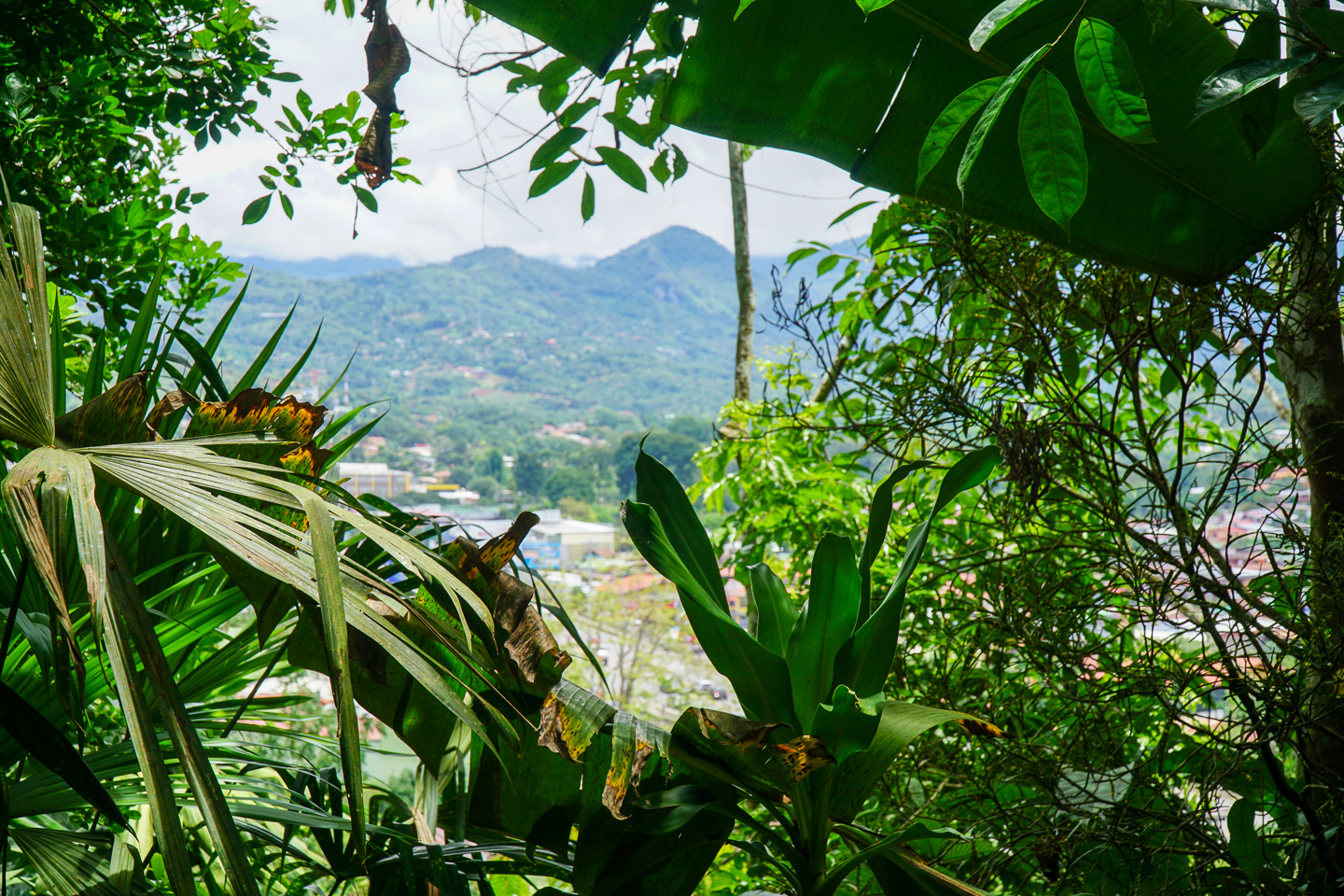 0 bed Land For Sale in Perez Zeledon, San Jose - thumb 20