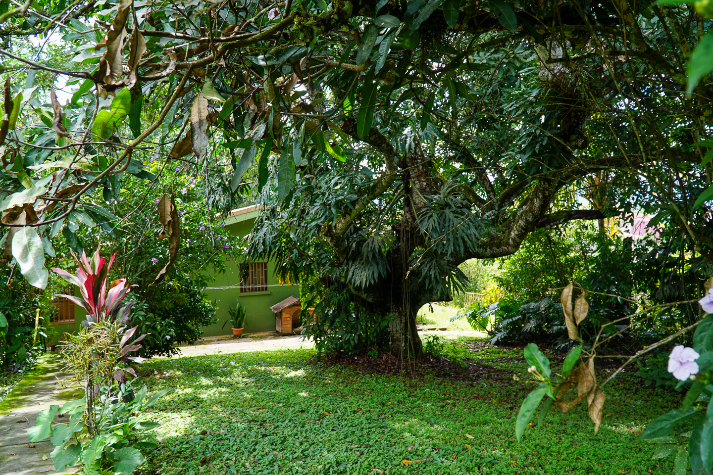 0 bed Land For Sale in Perez Zeledon, San Jose - thumb 17