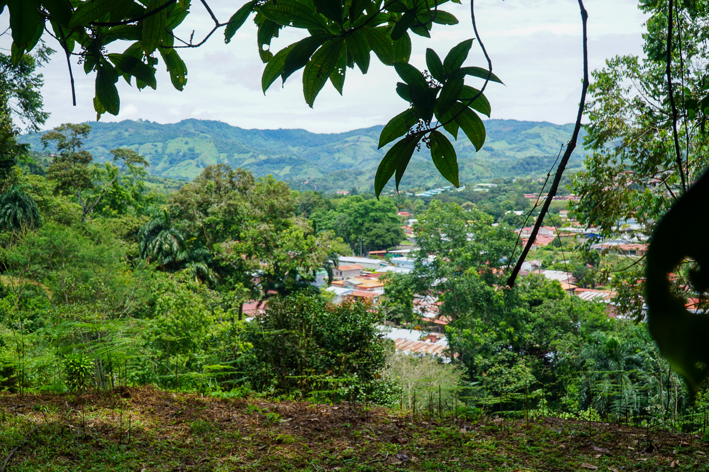 0 bed Land For Sale in Perez Zeledon, San Jose - thumb 23