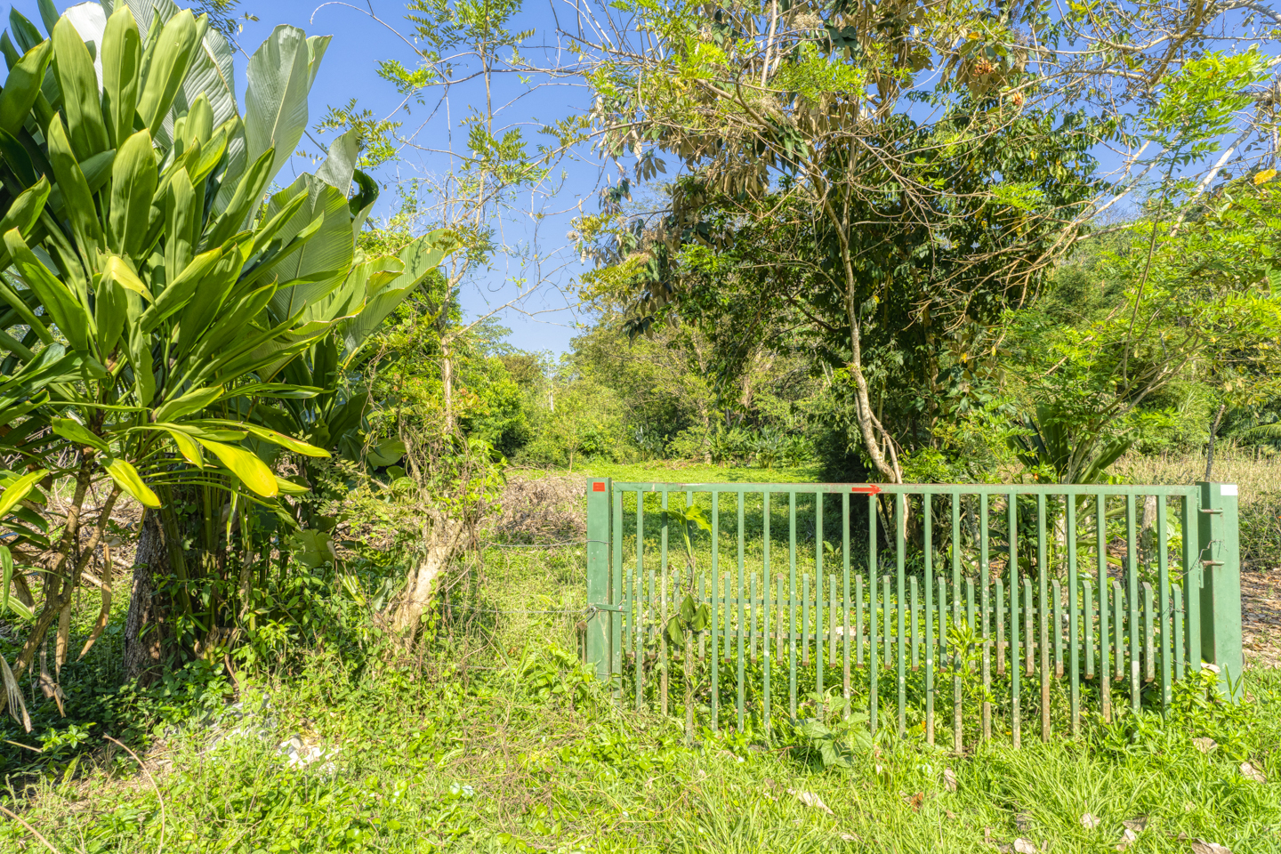 Featured property image