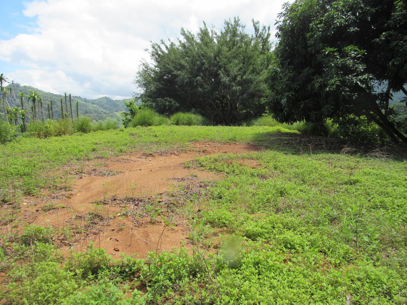 0 bed Land For Sale in Dominical, Puntarenas - 1