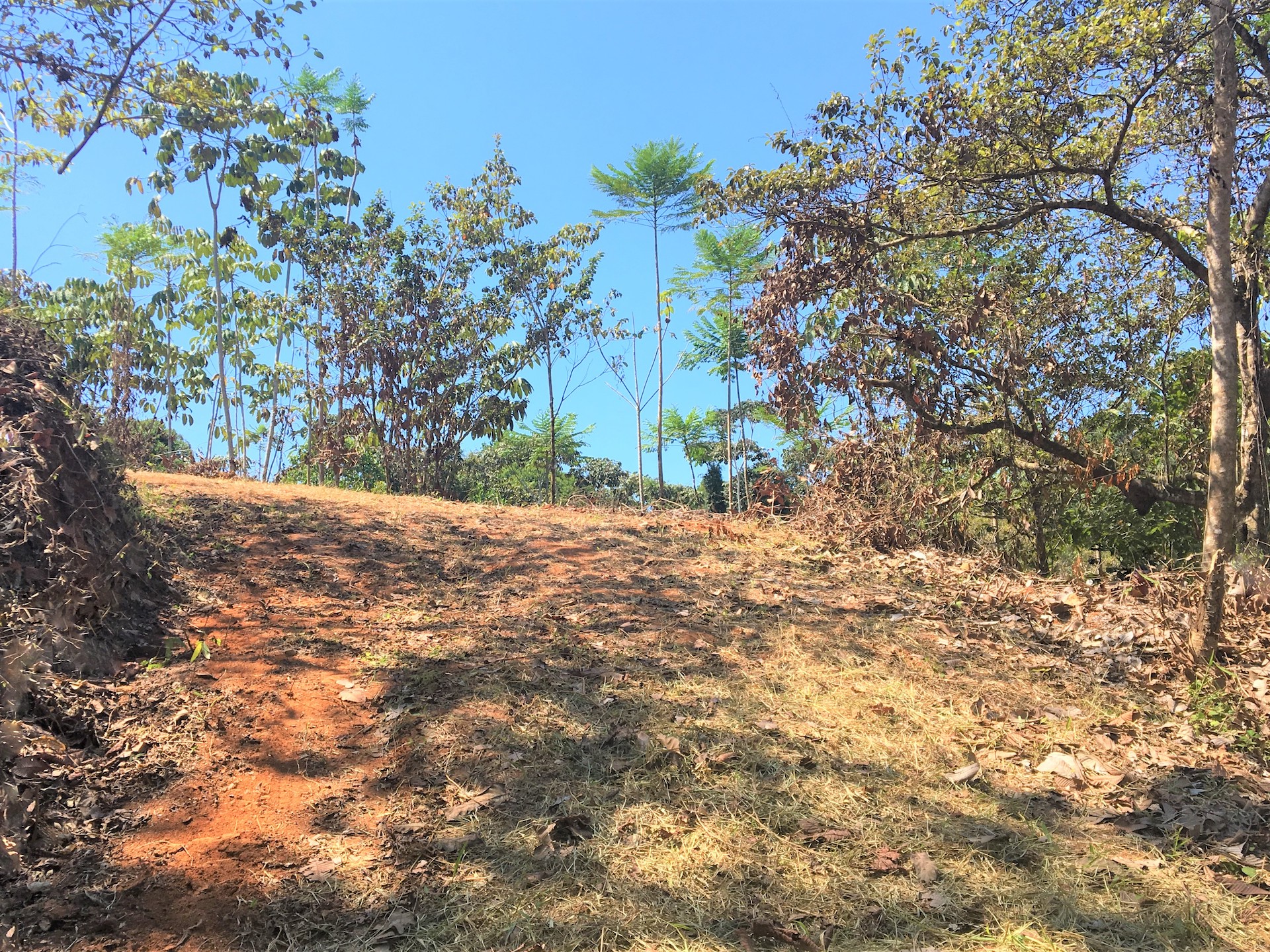 0 bed Land For Sale in Ojochal, Puntarenas - thumb 9