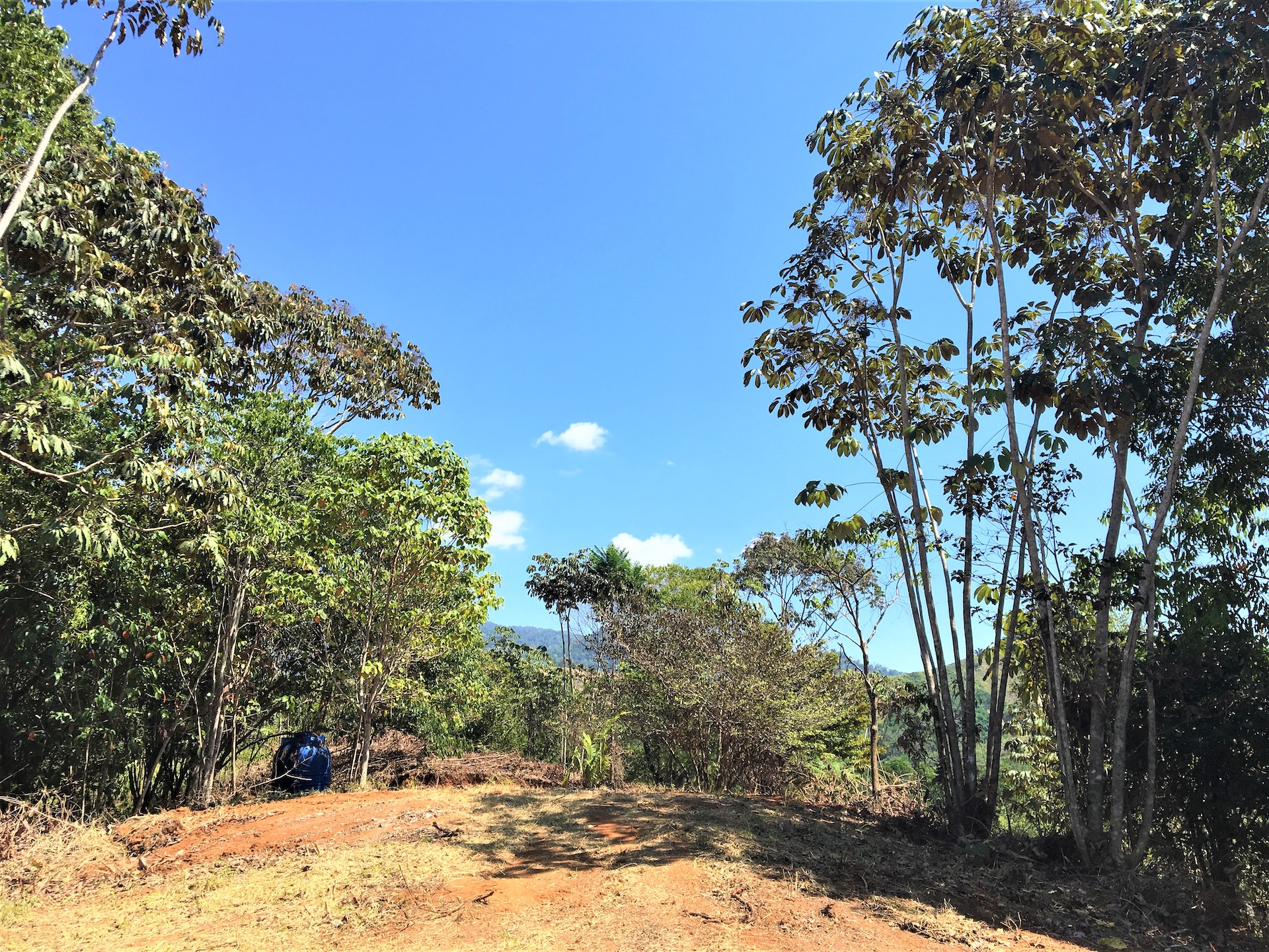 0 bed Land For Sale in Ojochal, Puntarenas - thumb 2