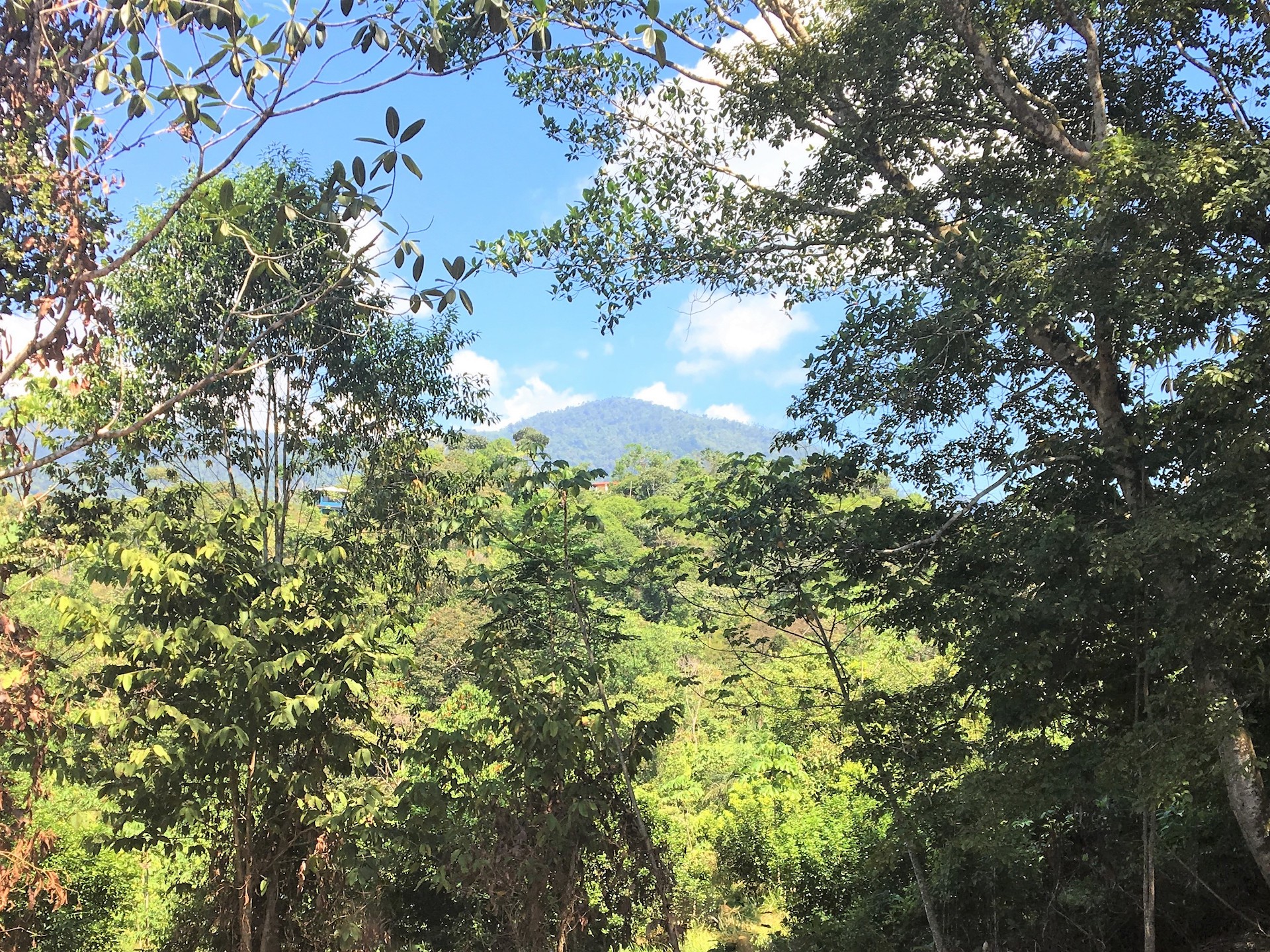 0 bed Land For Sale in Ojochal, Puntarenas - thumb 1
