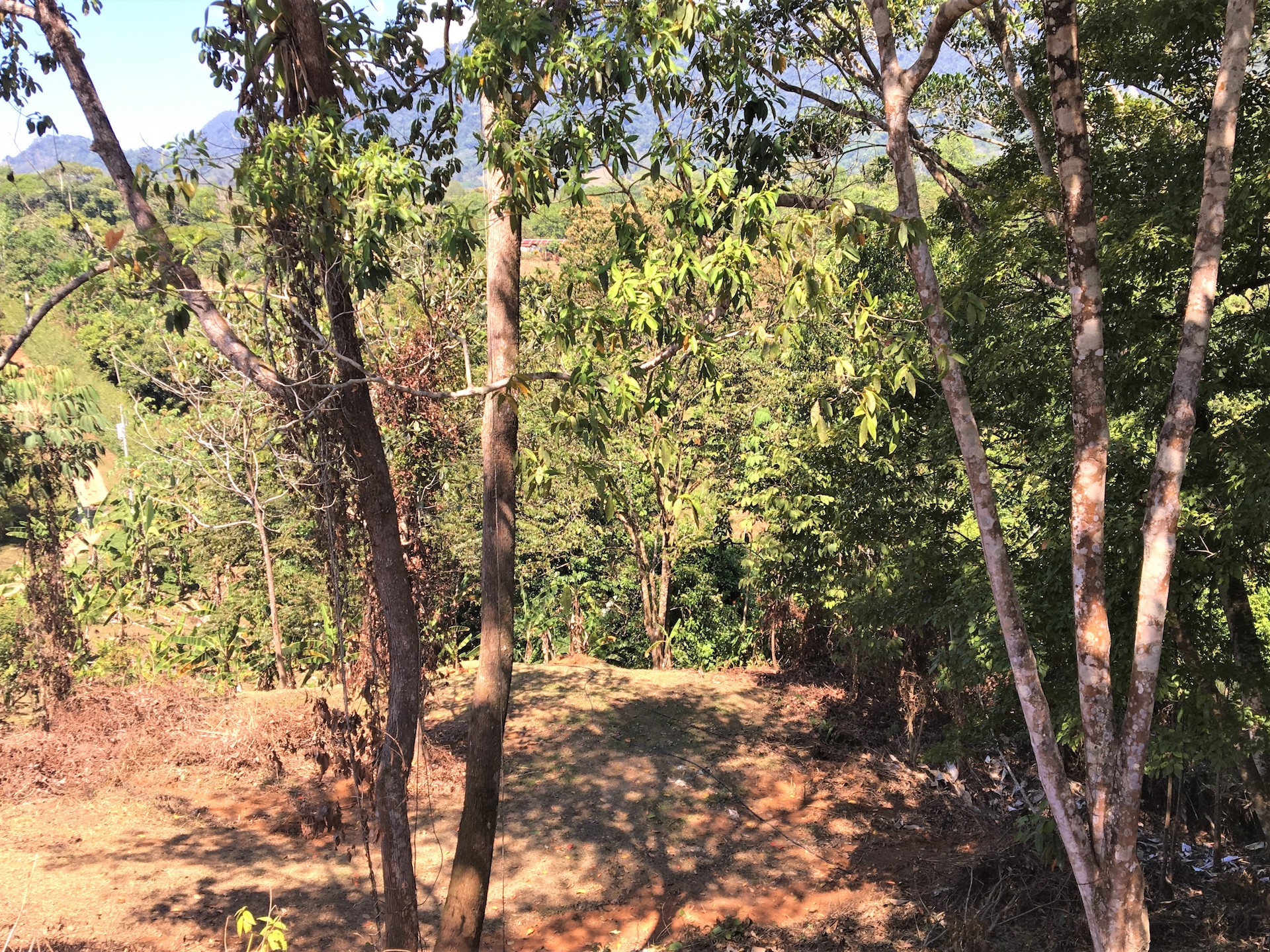 0 bed Land For Sale in Ojochal, Puntarenas - thumb 8