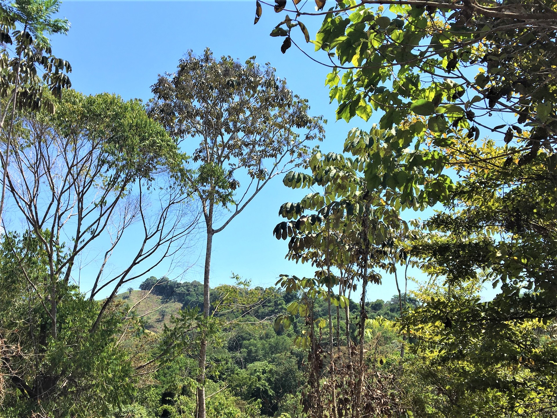 0 bed Land For Sale in Ojochal, Puntarenas - thumb 3