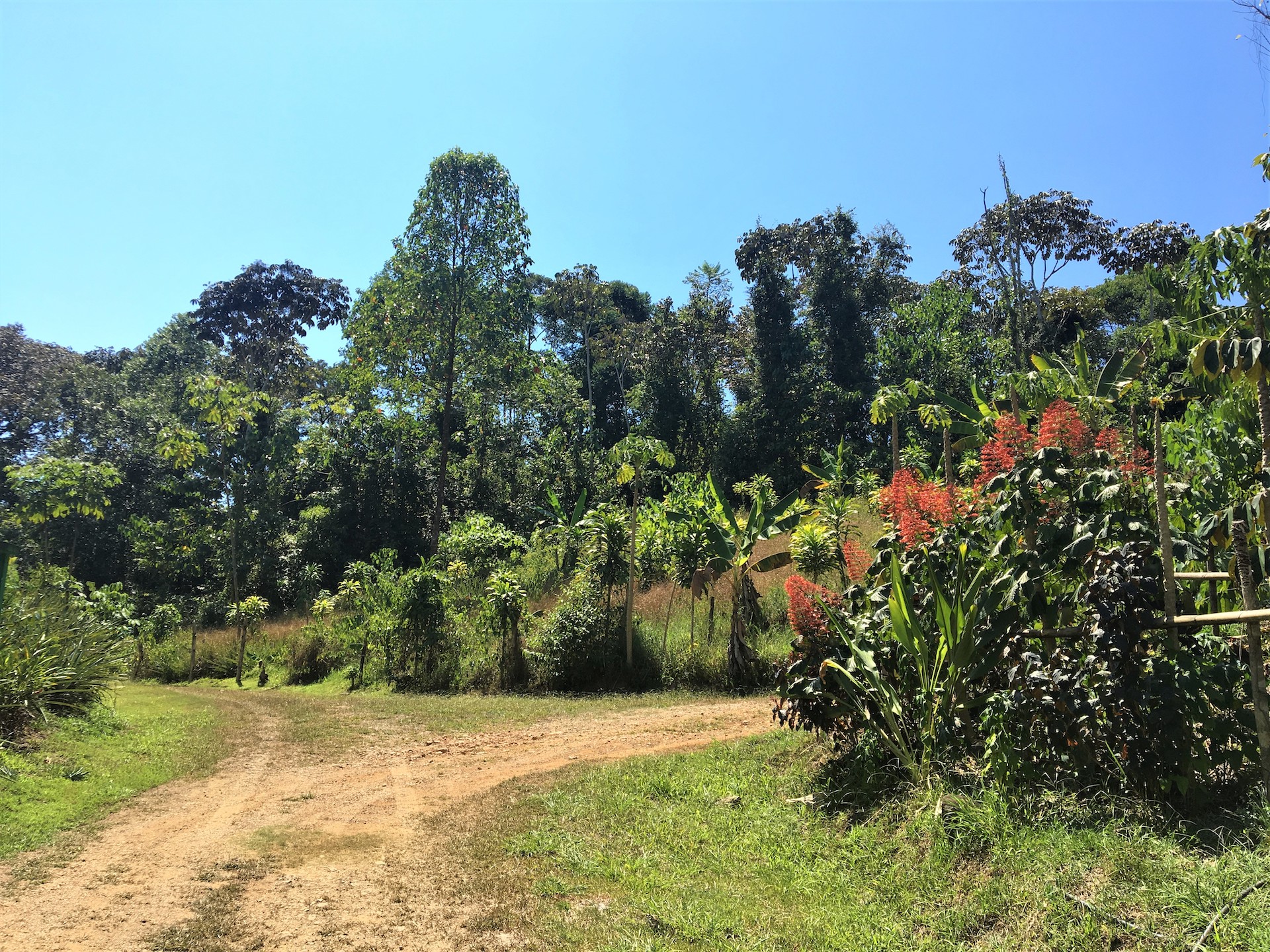 0 bed Land For Sale in Ojochal, Puntarenas - thumb 6