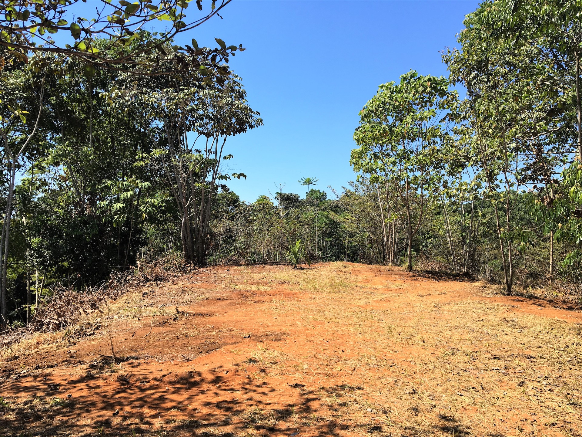 0 bed Land For Sale in Ojochal, Puntarenas - thumb 10