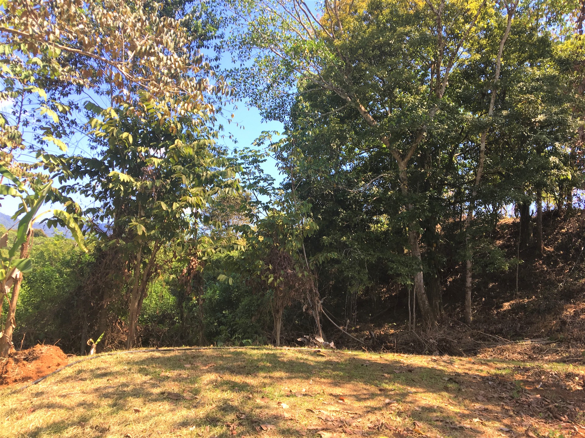 0 bed Land For Sale in Ojochal, Puntarenas - thumb 7