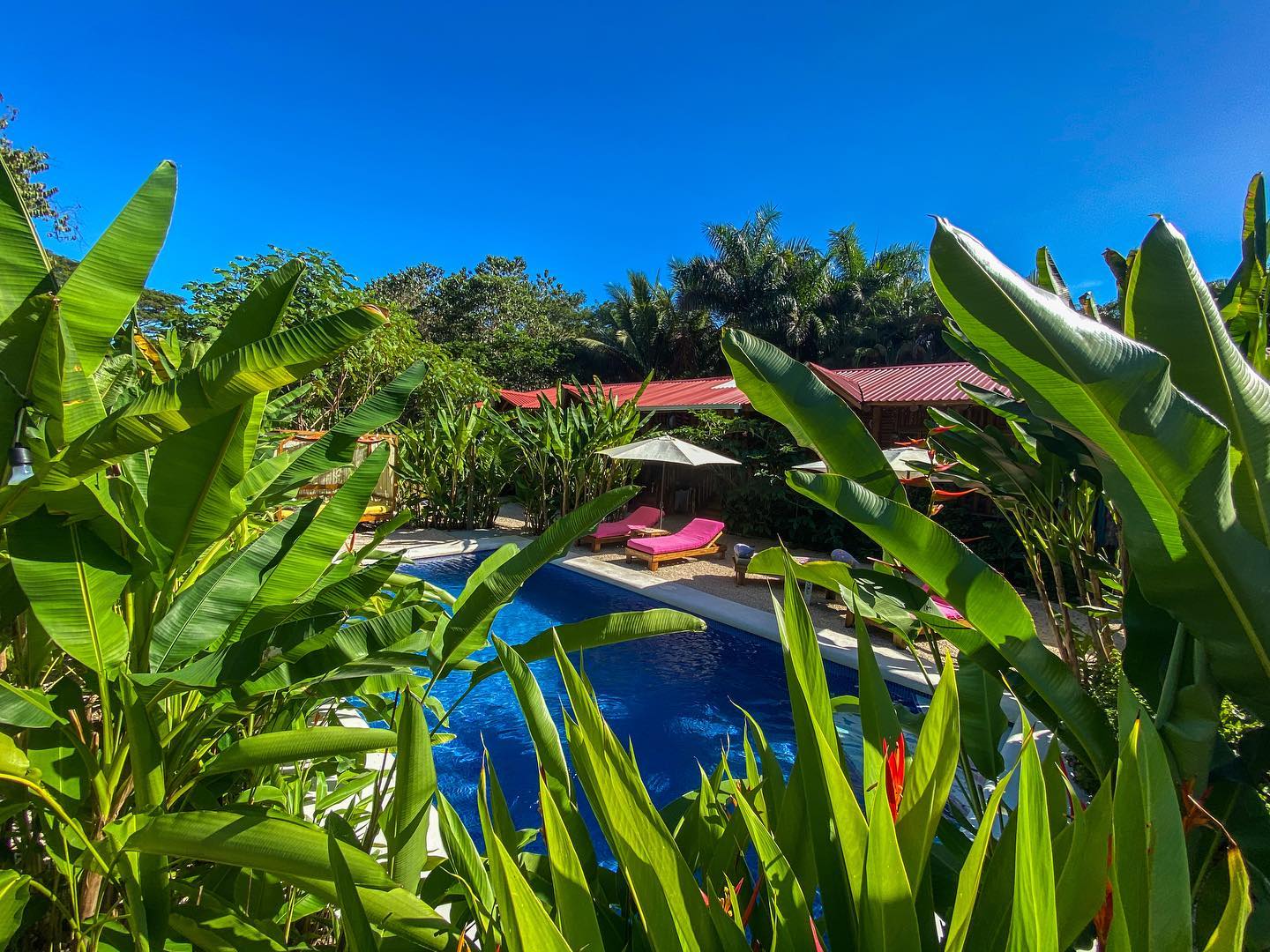 7 bed Single Family Homes For Sale in Samara, Guanacaste - thumb 5